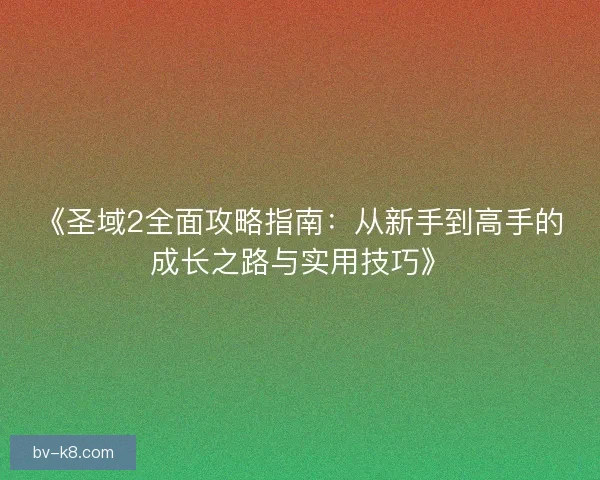 《圣域2全面攻略指南：从新手到高手的成长之路与实用技巧》